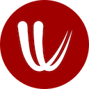 Official Windy app logo